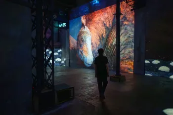 <p><span style="-webkit-text-stroke-width:0px;background-color:rgb(255, 255, 255);color:rgb(12, 16, 20);display:inline !important;float:none;font-family:-apple-system, BlinkMacSystemFont, "Segoe UI", Roboto, Helvetica, Arial, sans-serif;font-size:14px;font-style:normal;font-variant-caps:normal;font-variant-ligatures:normal;font-weight:400;letter-spacing:normal;orphans:2;text-align:start;text-decoration-color:initial;text-decoration-style:initial;text-decoration-thickness:initial;text-indent:0px;text-transform:none;white-space:normal;widows:2;word-spacing:0px;">© Culturespaces / C. de la Motte Rouge</span></p>